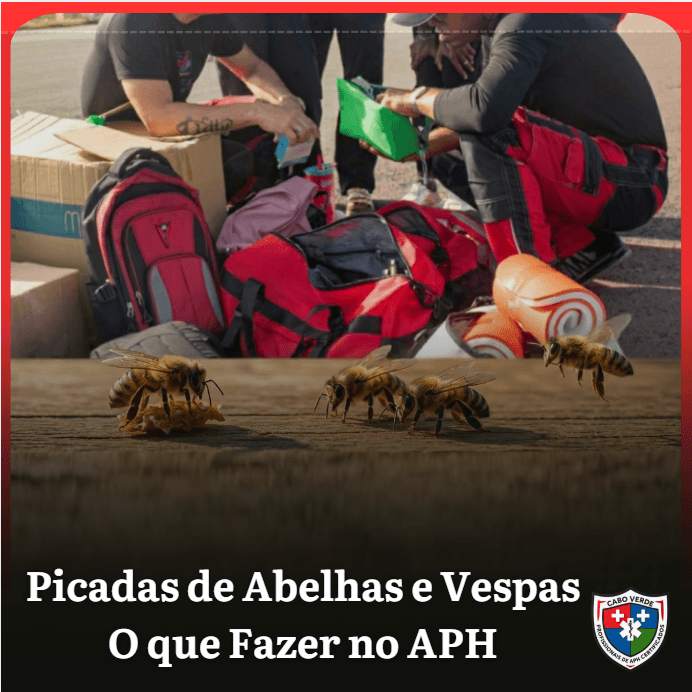 Picadas de Abelhas e Vespas: O que Fazer no APH